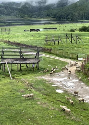 云南木雕酒店排名前十(云南婕珞芙酒店)插图33 云南木雕酒店排名前十(云南婕珞芙酒店)插图33