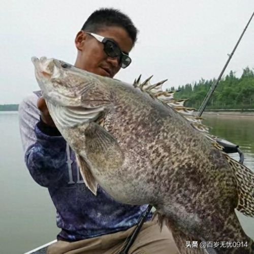 十大野钓博主排行榜(抖音十大旅游博主)插图5