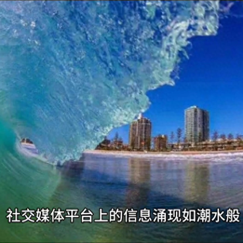 十大网络神评排行榜(网络十大金曲)插图2