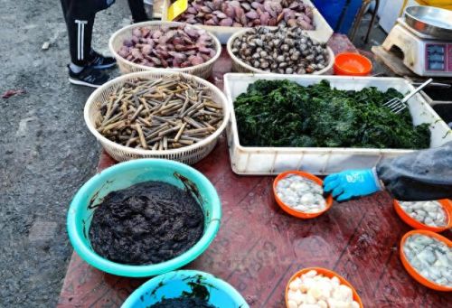 十大好吃的海鲜品种排行榜(十大海鲜主播排名)插图