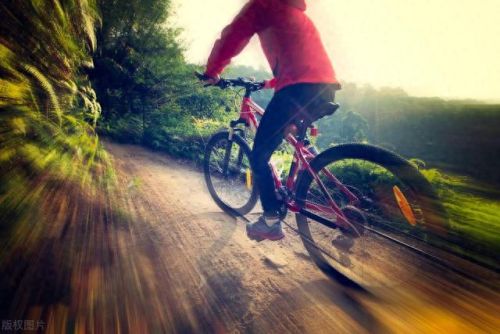 中国十大山地车排行榜(性价比高的山地车排行榜前十名)