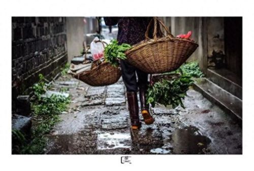 江北旅游村庄排名前十(宁波江北洪塘最大的村庄)插图49 江北旅游村庄排名前十(宁波江北洪塘最大的村庄)插图49