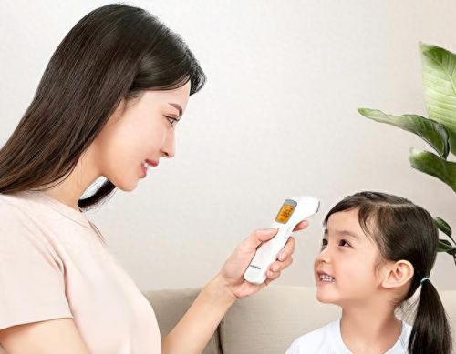 温枪品牌十大排行榜(温度枪品牌十大排行)插图2