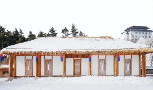 十大平壤面食排行榜第一(平壤玉流馆冷面)插图3