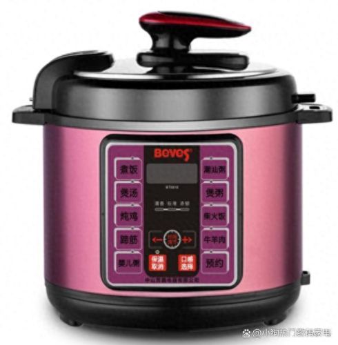 中国电压锅十大品牌排行榜(什么牌子的电压锅煮饭好吃)