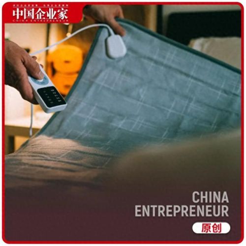 德国十大电热毯品牌排行榜(德国品牌大全)插图