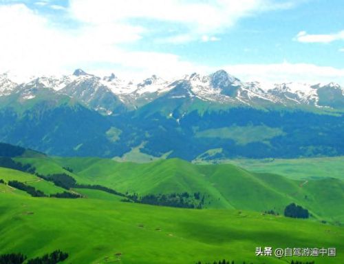 新疆十大最美大峡谷排行榜(新疆值得去的大峡谷)插图3