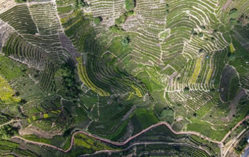 广东自驾必去十大排行榜(广东十大温泉排名)插图