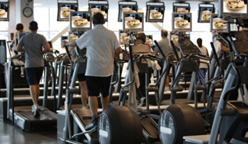 进口健身设备十大排行榜(健身器材国际排行榜)插图4 进口健身设备十大排行榜(健身器材国际排行榜)插图4