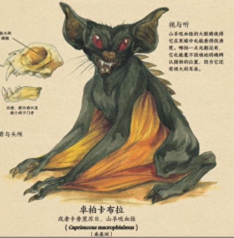 传说中的十大怪兽排行榜(怪兽电影十大巅峰之作)插图6 传说中的十大怪兽排行榜(怪兽电影十大巅峰之作)插图6