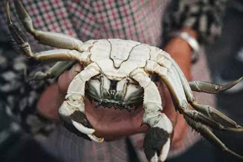 昆明排名前十的超市(昆明胖东来超市)插图39 昆明排名前十的超市(昆明胖东来超市)插图39