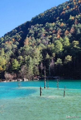 云南烧烤酒吧排名前十(云南最牛酒吧)插图31 云南烧烤酒吧排名前十(云南最牛酒吧)插图31