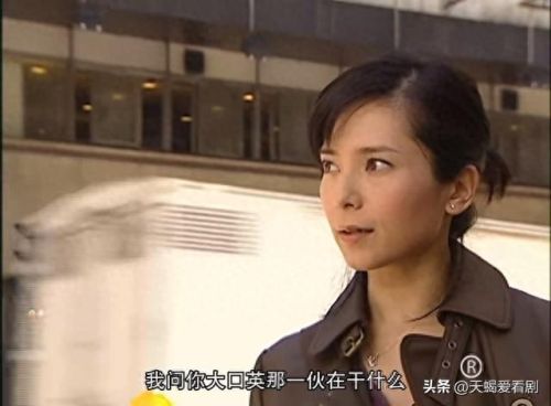 港剧十大警花排名前十(最好评十大港剧)