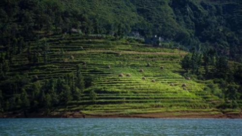 空调贵州销量排名前十(2022空调销量排行榜)插图12