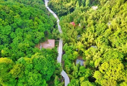 新疆塔城酒店排名前十(全国连锁酒店排名)插图37