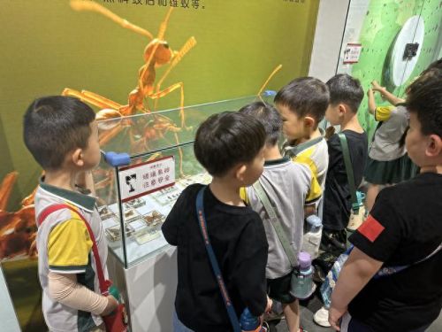 郑州水边餐厅排名前十(费县水边餐厅)插图27 郑州水边餐厅排名前十(费县水边餐厅)插图27