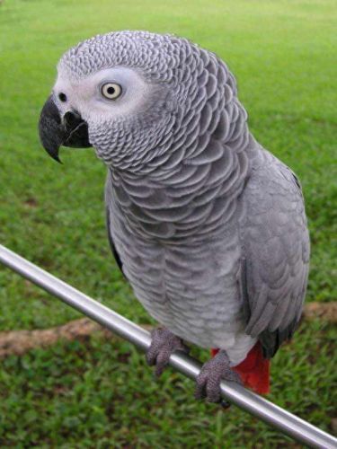 智商排名前十的十位(达斡尔族人智商排名)插图6 智商排名前十的十位(达斡尔族人智商排名)插图6