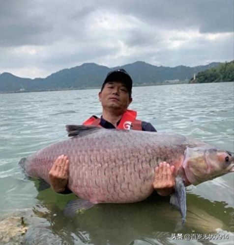 十大钓鱼博主排行榜主播(十大钓鱼人物排名)插图 十大钓鱼博主排行榜主播(十大钓鱼人物排名)插图