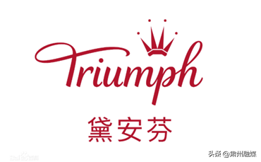 国内内衣十大排行榜名单(国内公认十大品牌内衣)插图5