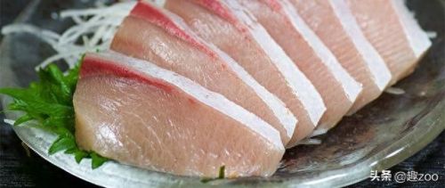 求十大最好吃的鱼排行榜(十大群游最好的鱼)插图1