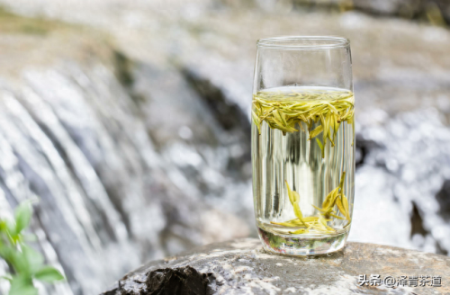 茶经排名前十的茶(十三种满分好茶)插图26 茶经排名前十的茶(十三种满分好茶)插图26