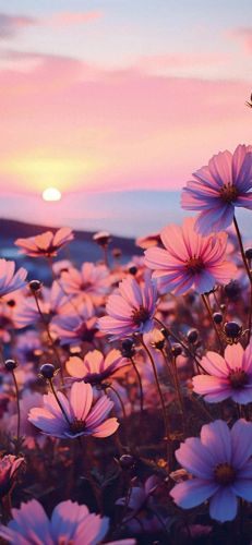 合肥专科数量排名前十(合肥最好医院排名)插图1 合肥专科数量排名前十(合肥最好医院排名)插图1