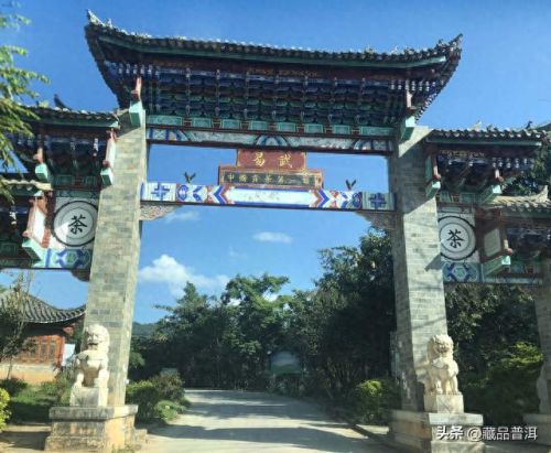 茶叶十大经销商排行榜(十大高档茶叶品牌)插图5