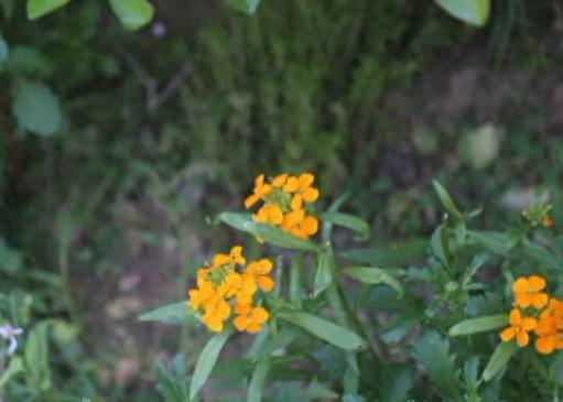 曲阳十大网红排行榜名单(曲阳十大网红是谁)插图7