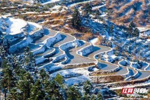 沅江订婚酒店排名前十(呼市订婚酒店排名)插图20