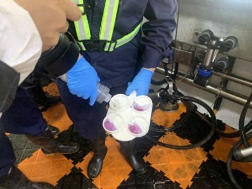 浙江十大牛场排行榜图片(哪个地方的牛场最好)插图2