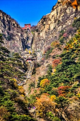 日照市十大企业富豪排行榜(日照十大富豪排名)插图5