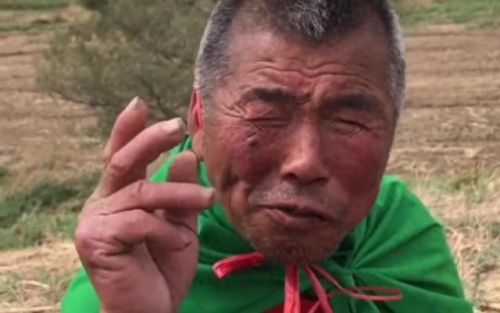 2020年十大网红排行榜(中国网红前50名)插图13