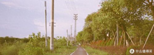 全画幅相机十大排行榜(十款最好全画幅相机)插图