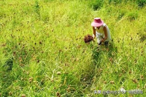 柳州十大摄影师排行榜图片(柳州全家福摄影前十名)插图12