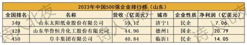 山东十大企业排行榜最新名单(山东芯片企业排名)插图