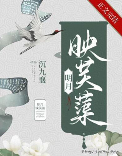 十大经典古言小说排行榜(女主被赐婚边疆将军的古言小说)插图2