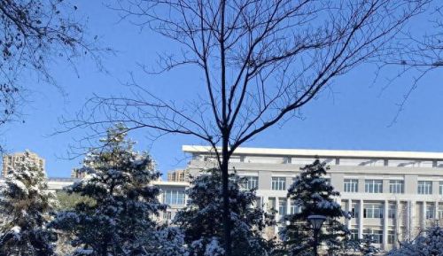 体育培训品牌十大排行榜(体育培训哪个机构最好)插图4 体育培训品牌十大排行榜(体育培训哪个机构最好)插图4