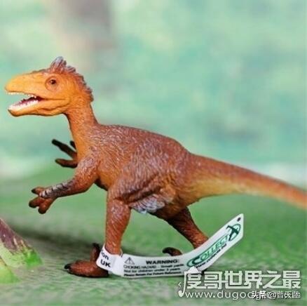 恐龙十大排行榜谁最大(恐龙排名到底谁最强)插图1