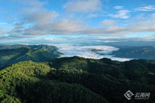 澜沧小众景点排名前十(澜沧东回景点)插图3 澜沧小众景点排名前十(澜沧东回景点)插图3