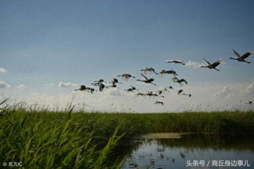 齐齐哈尔地区景区排名前十(潍坊景区排名前十名)插图1 齐齐哈尔地区景区排名前十(潍坊景区排名前十名)插图1