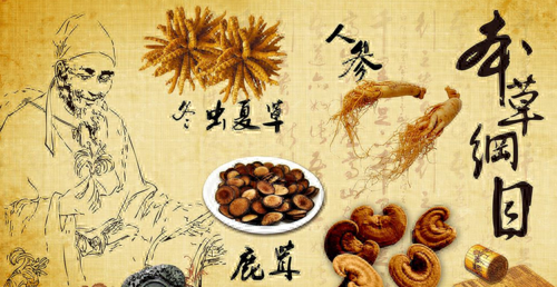 中药煎药机十大名牌排行榜(全自动煎药机十大品牌)插图