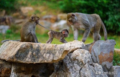 湖北十大旅游景点排行榜最新(湖北旅游景点有哪些)插图28