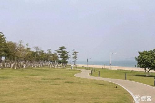 夜市炒海鲜排名前十(晋阳海鲜夜市)插图23 夜市炒海鲜排名前十(晋阳海鲜夜市)插图23