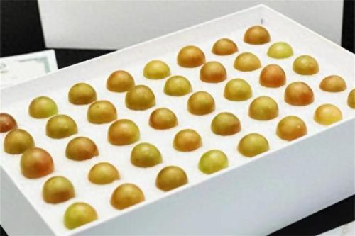 鲜食葡萄品种排名前十(最好吃葡萄排名前十名)