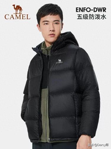 专业运动品牌十大排行榜(十大奢侈休闲运动品牌)插图4