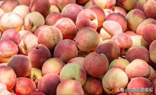 十大不能买的食物排行榜(十大雌性激素食物排名)插图6