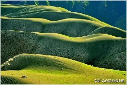 新疆十大最美大峡谷排行榜(新疆值得去的大峡谷)插图4