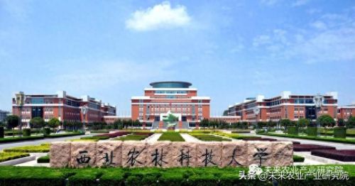 世界蔬果排名前十图片(世界粮食产量排名)插图 世界蔬果排名前十图片(世界粮食产量排名)插图