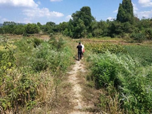 广西十大名牌坊排行榜最新(广西全州四大牌坊)插图