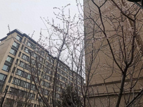 大连买房app十大排行榜(大连买房需要社保吗)插图2